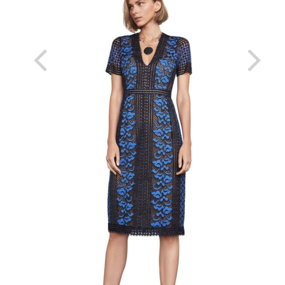 BCBG Cinthya Floral Lace Dress